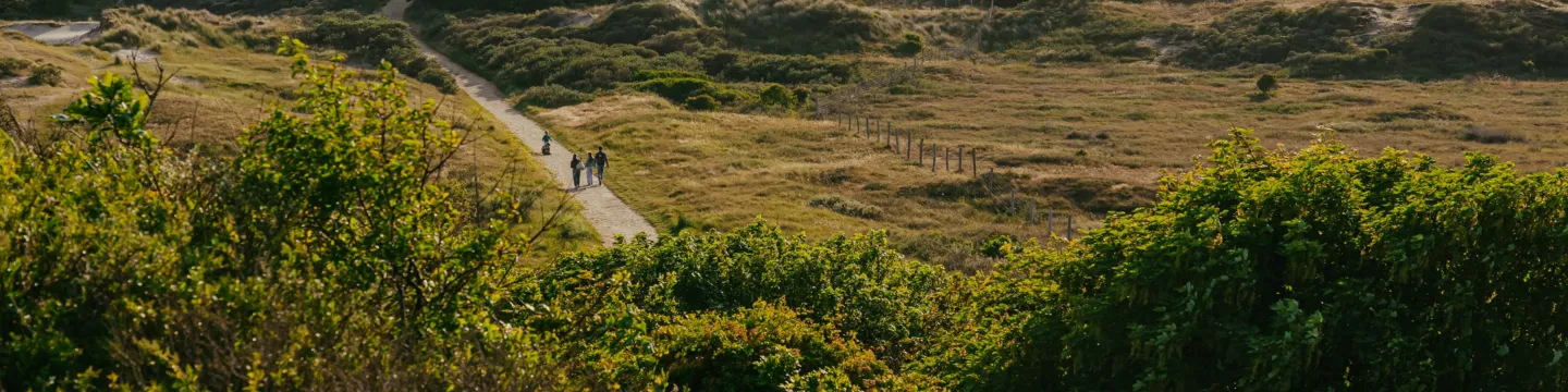 Duinen sfeer