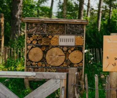 Insectenhotel op het Ontmoetingsplein