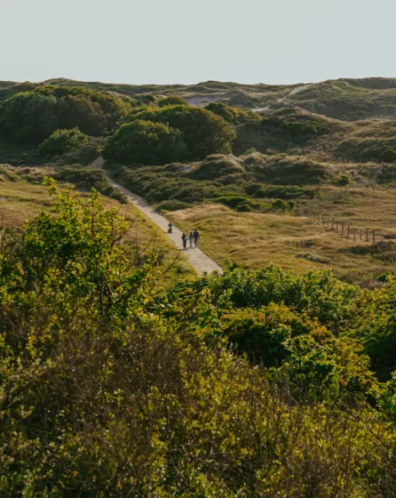 Duinen sfeer