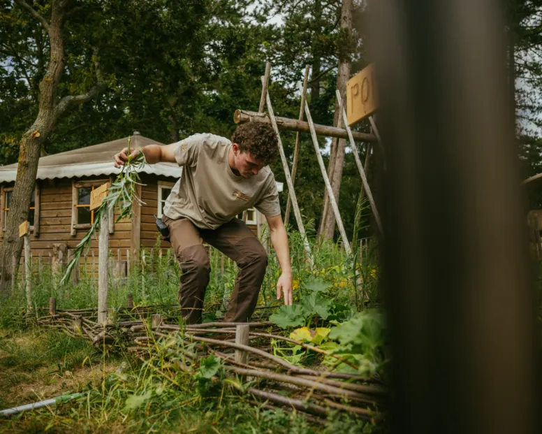 Mack in de moestuin Bakkum