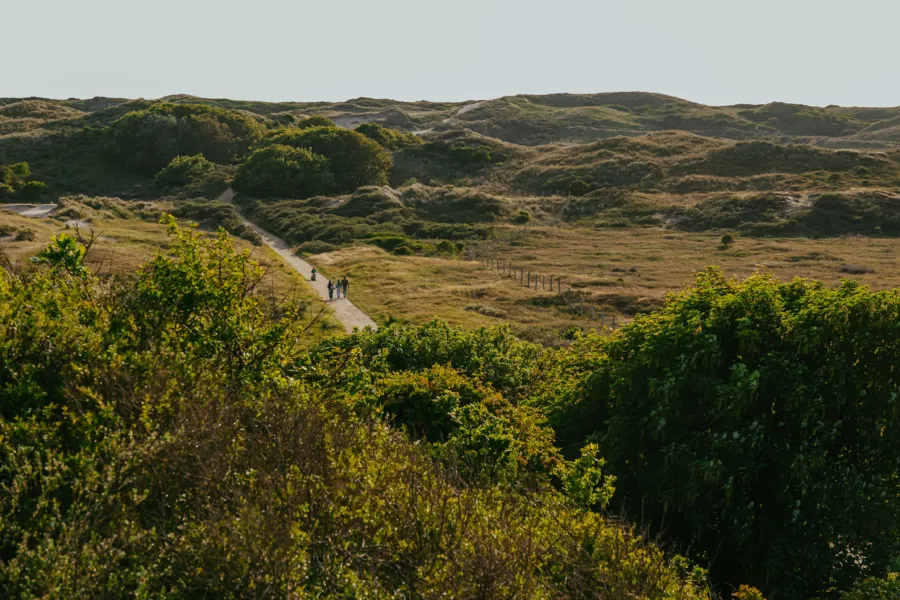 Duinen sfeer