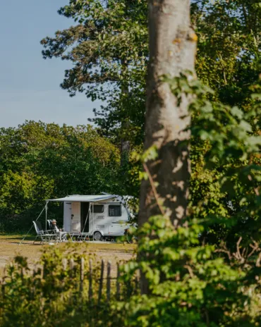 Doorkijkje naar de Bosplaatsen