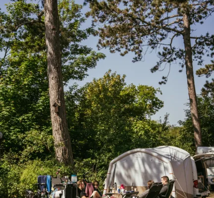 Tenten Bosplaatsen in de zon