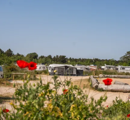 Speelplaats caravan bloementjes